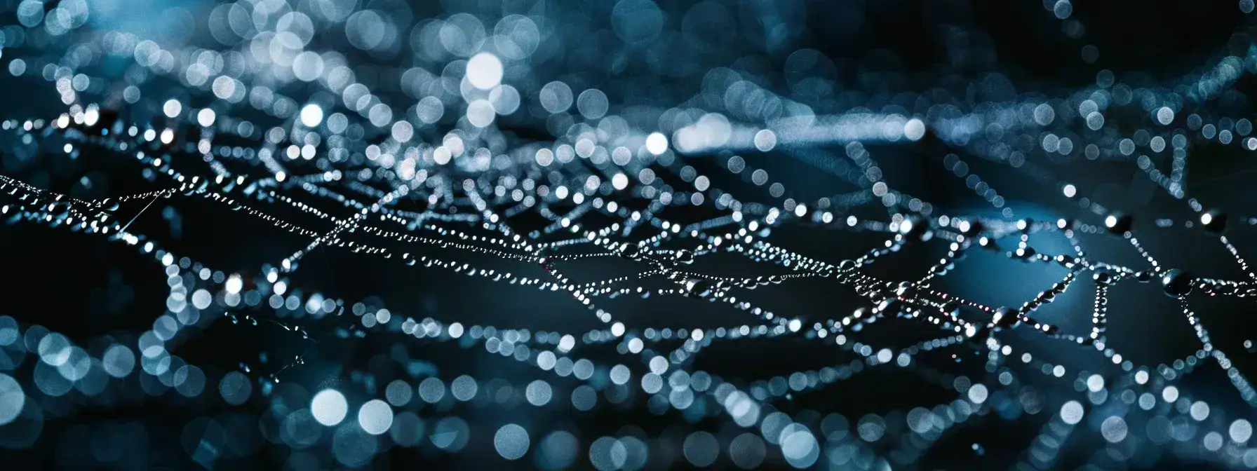a close-up shot of a computer screen displaying a complex web of internal links, highlighting the intricate structure and hierarchy of a website.