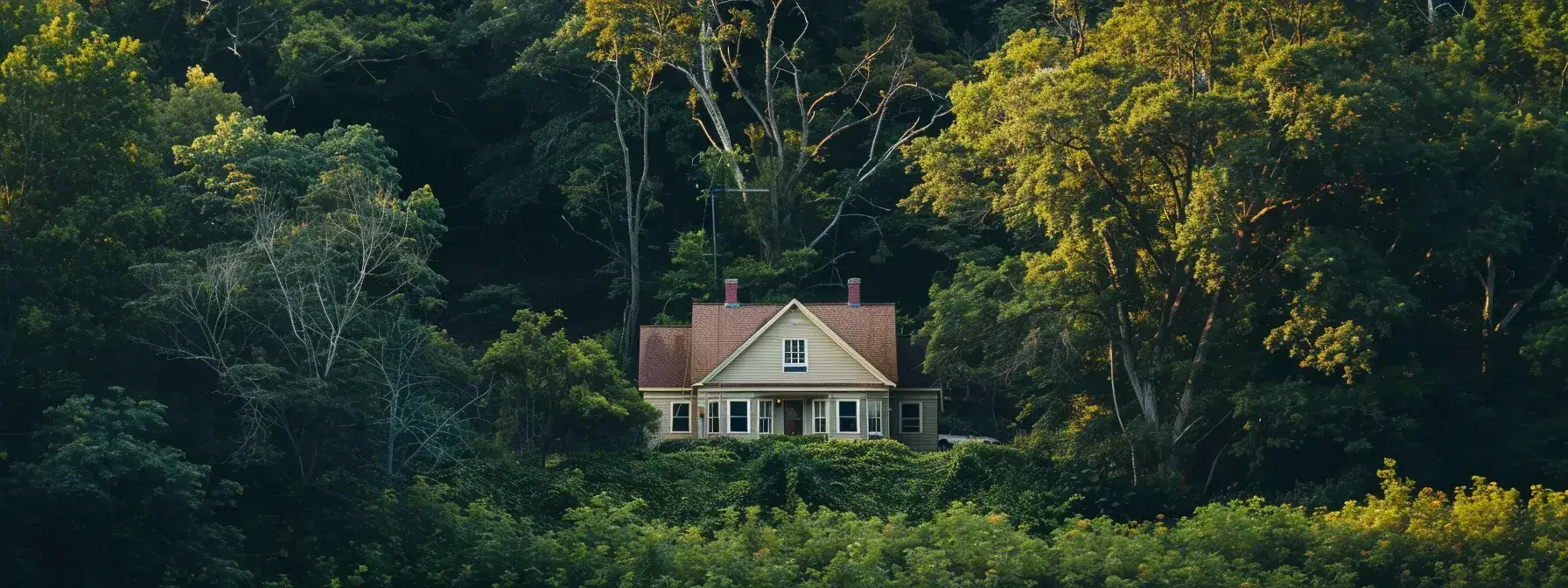 a secluded, charming house nestled among lush trees and untouched nature, symbolizing the lucrative potential of off-market real estate leads. a secluded, charming house nestled among lush trees and untouched nature, symbolizing the lucrative potential of off-market real estate leads.