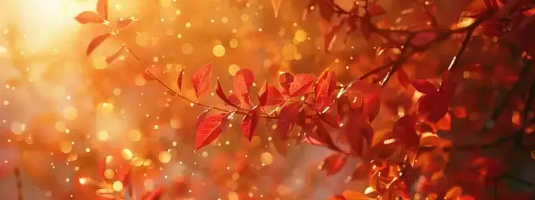 a vibrant autumn landscape unfolds with a brilliant tapestry of red and gold leaves cascading from towering trees, illuminated by the soft, golden light of the setting sun filtering through the branches.