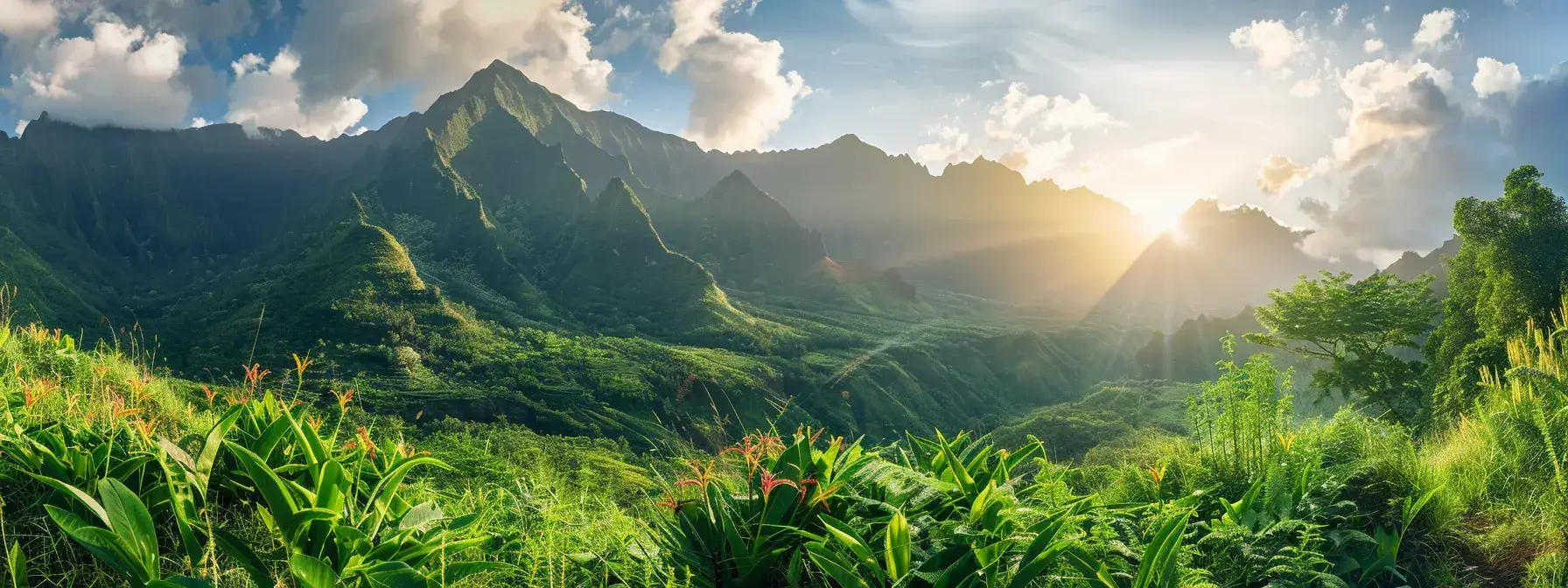 a breathtaking panorama of a sun-drenched mountain landscape, where vibrant wildflowers bloom in a foreground of lush greenery against majestic peaks, kissed by soft, golden light at sunrise.